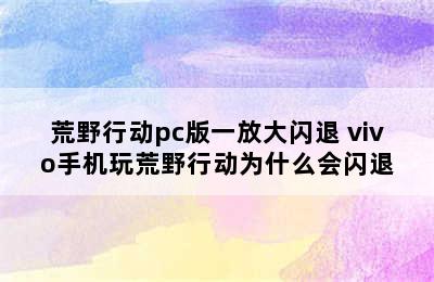 荒野行动pc版一放大闪退 vivo手机玩荒野行动为什么会闪退